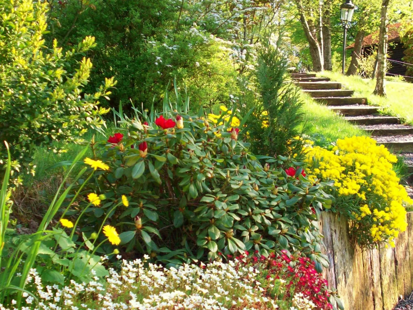 Cozy Chalet in Francorchamps