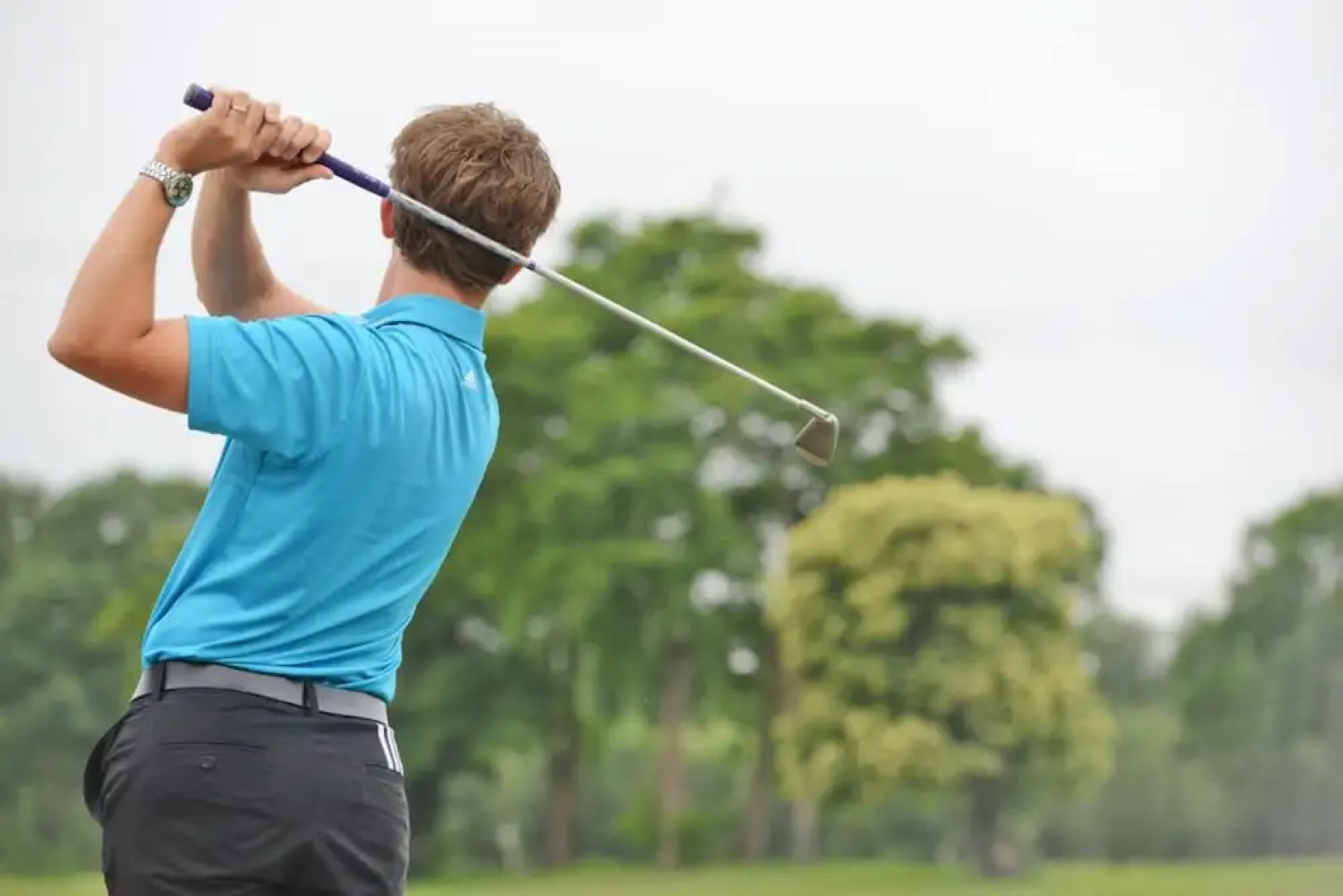 Albatros 12p in Oosterhout