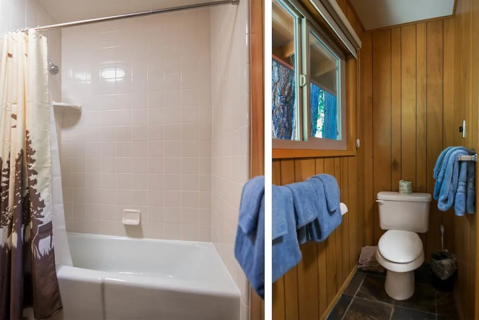 Yosemite Scenic Wonders - Bass Lake Area