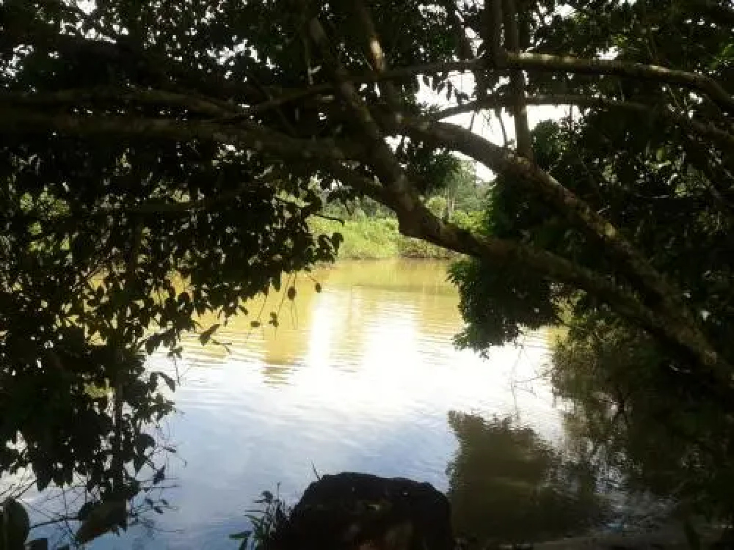 Cabinas y Soda Sol y Mar