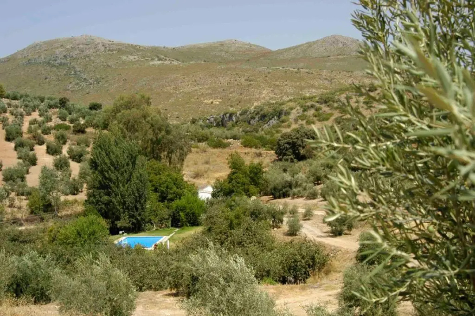 El Molino de las Palomas