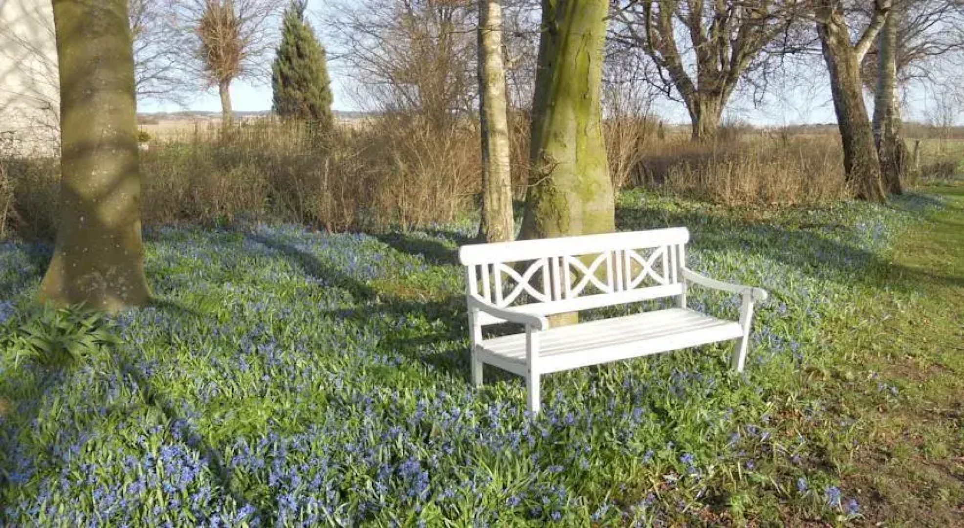 Tiendegaarden Apartments Møn