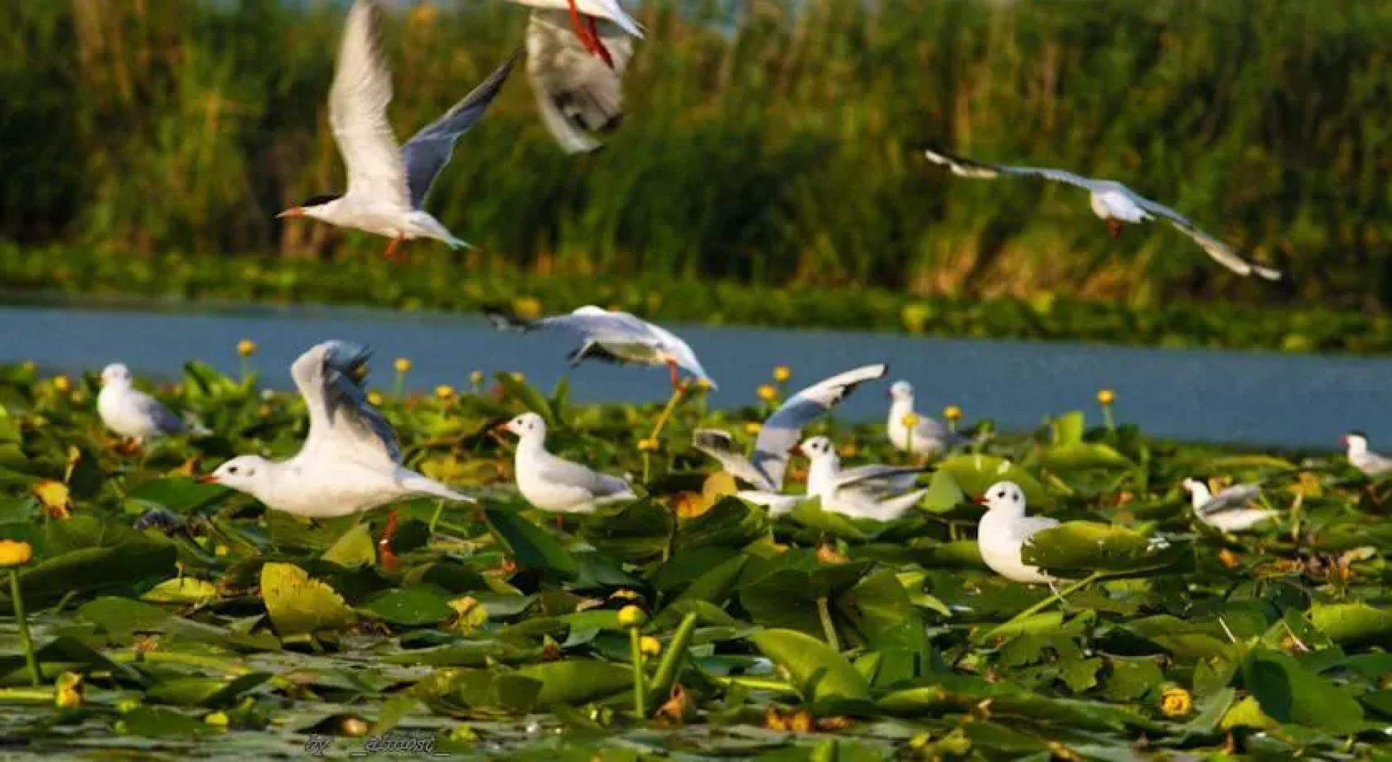 Casa de Vacanta Dunavatul de Jos