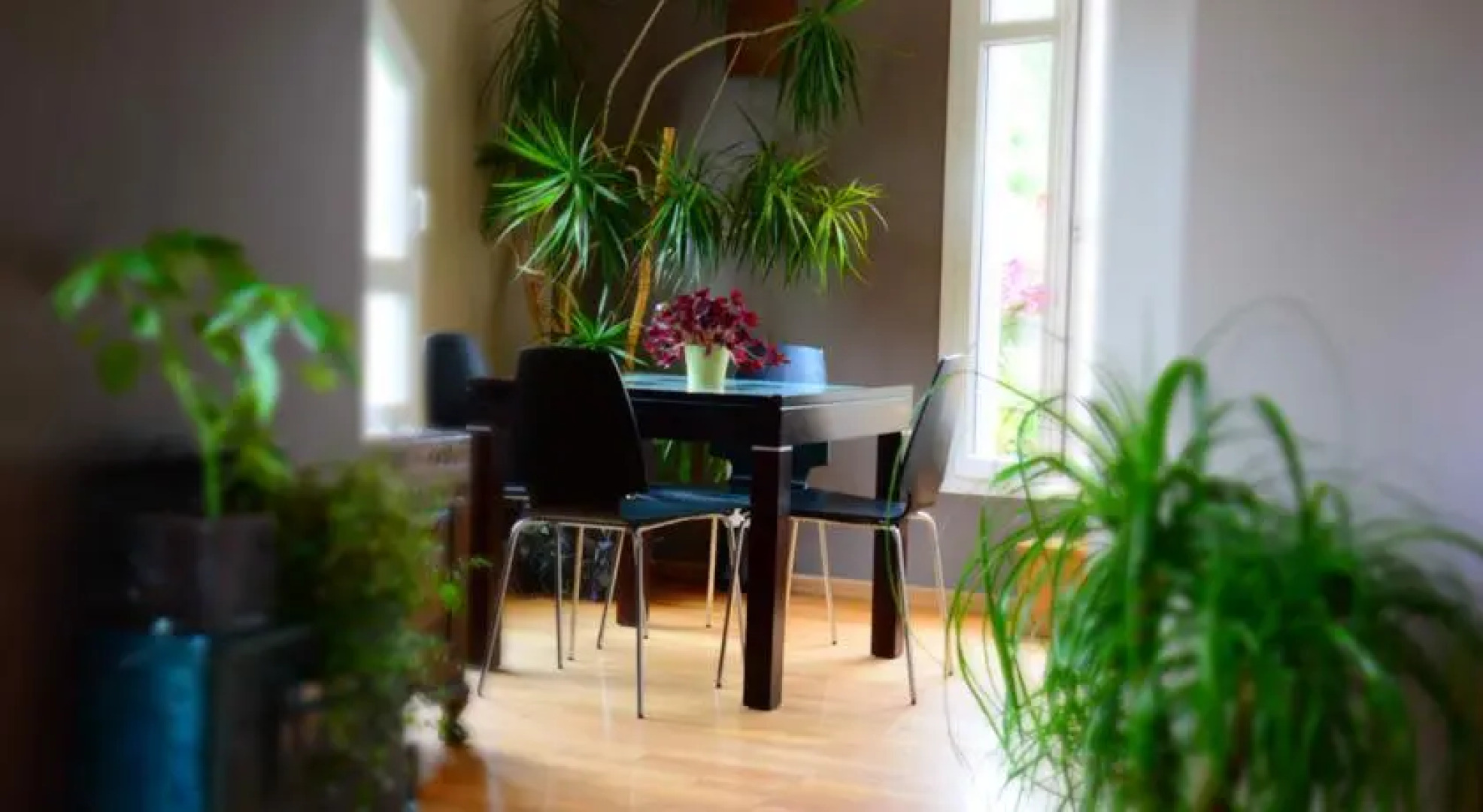 Séjour chez lhabitant Lognes