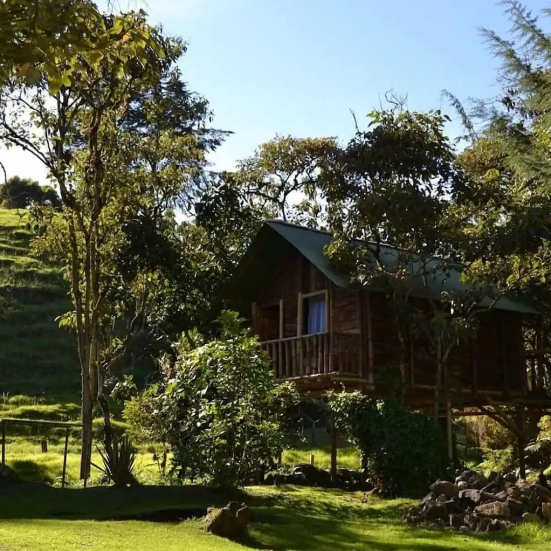 Cabañas El Viejo Tambo By Rotamundos