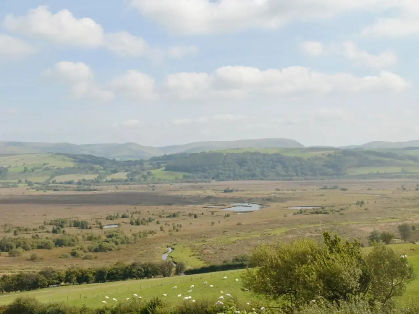 Pant Y Bryn Bach