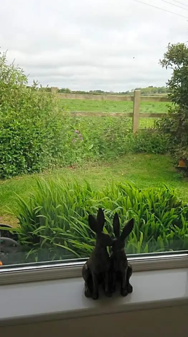 Rose Vean Bed & Breakfast