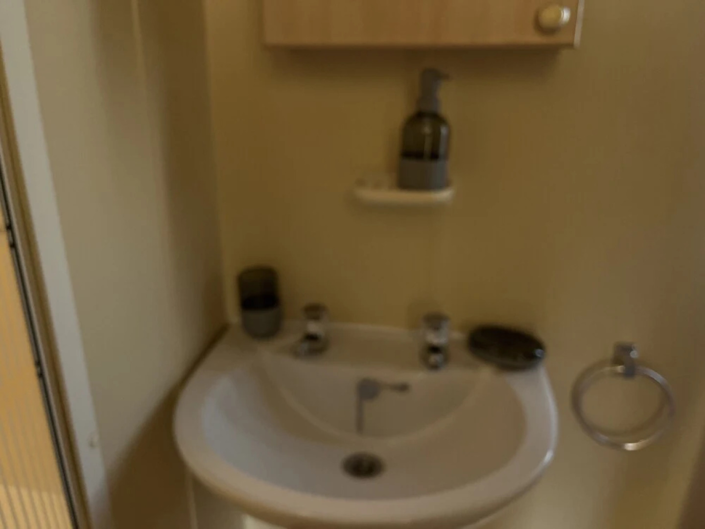 Affordable pet Friendly Caravan Trimingham