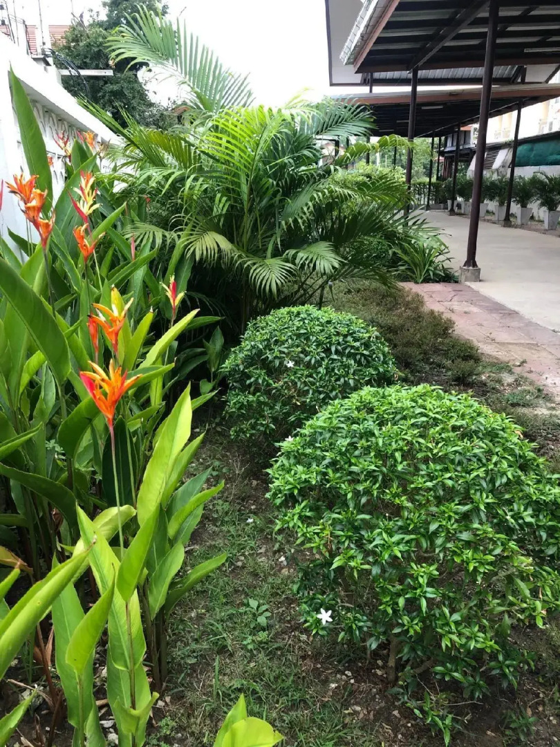 Phromsuk Hotel Ayutthaya