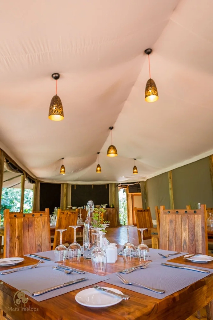 Mara Treetops Luxury Camp