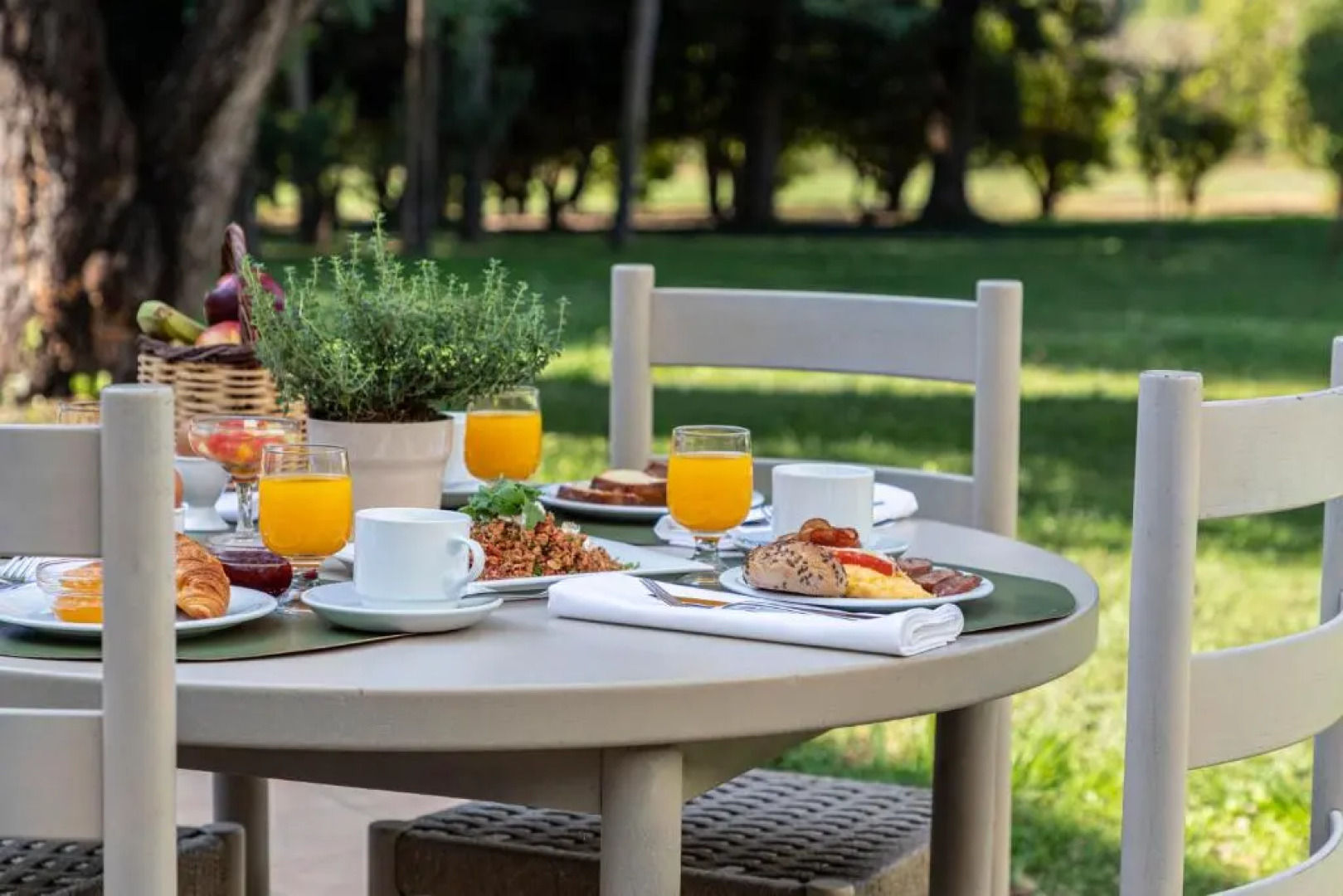 Hotel Amalia Olympia