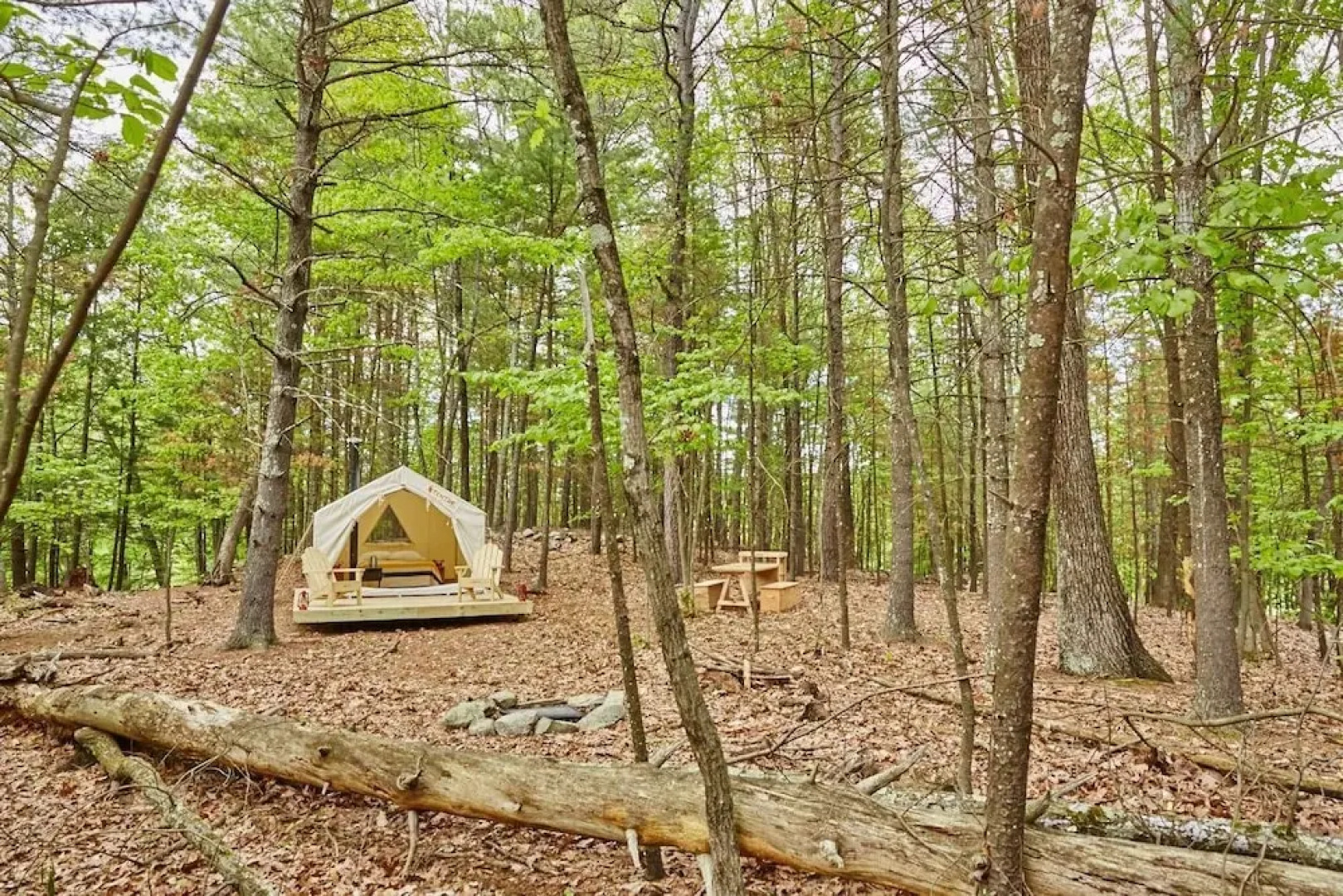 Tentrr - Grotto View at Stone Mountain