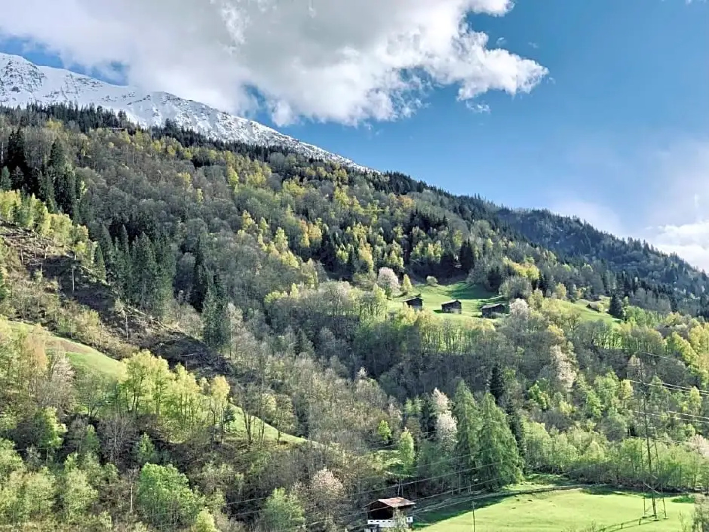 Casa Pasch - Boutique Bed and Breakfast in Cumpadials