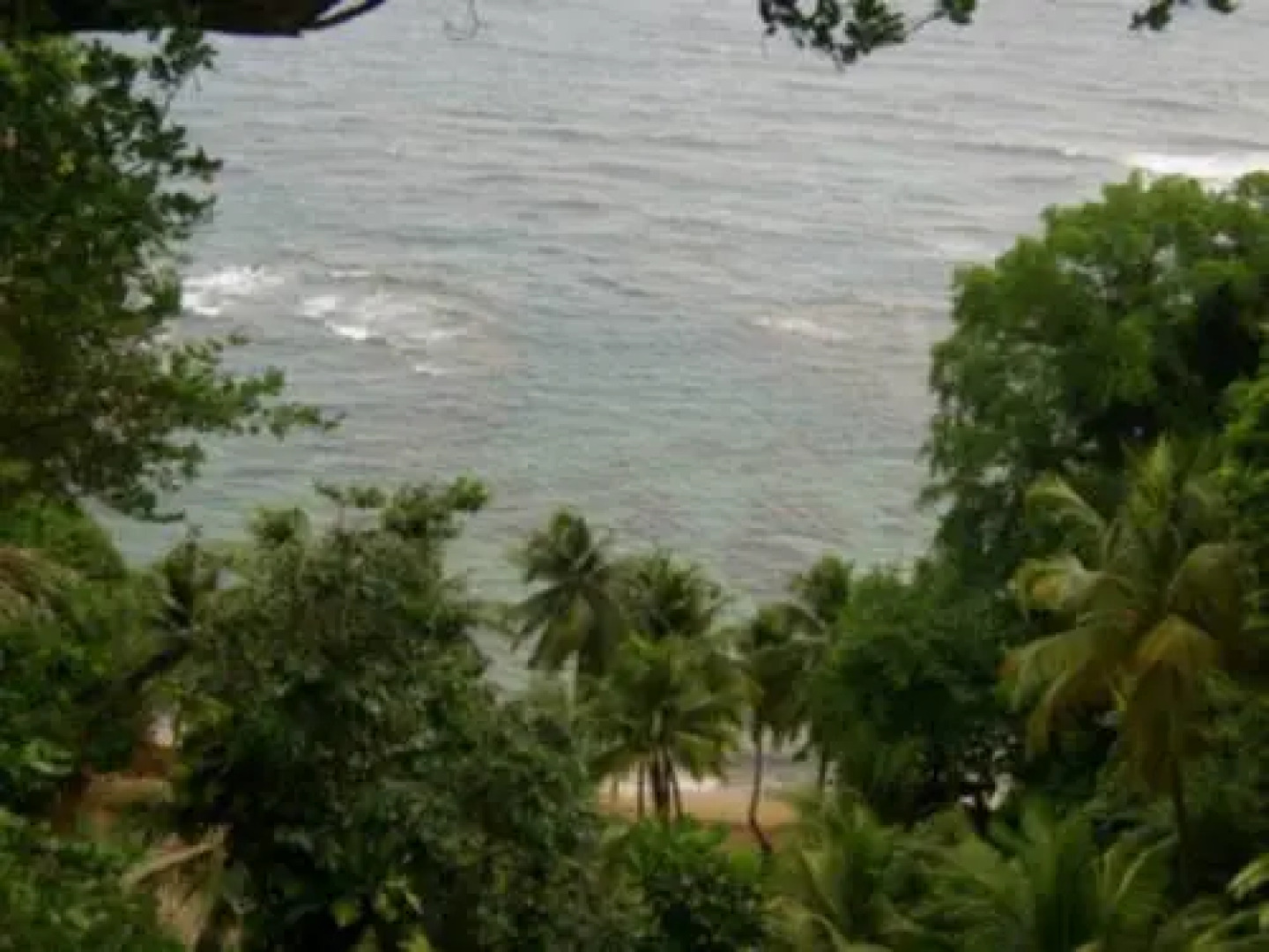 My Father's Place Guesthouse