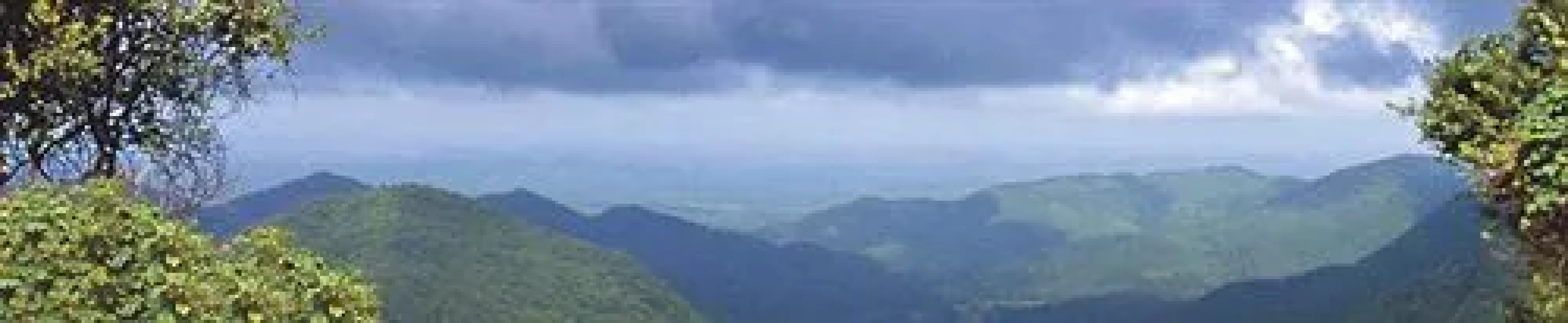 Wildernest Nature Resort