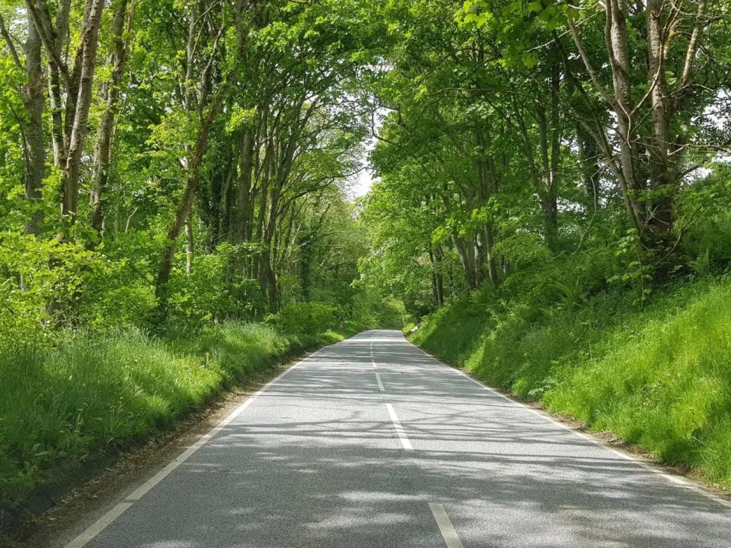 Pleasant Point Holiday Cottages