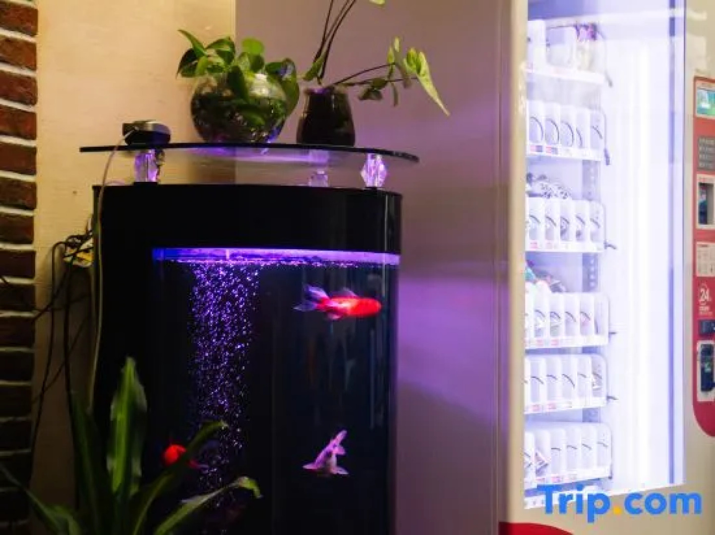 Longhua Hotel (West Ring Road