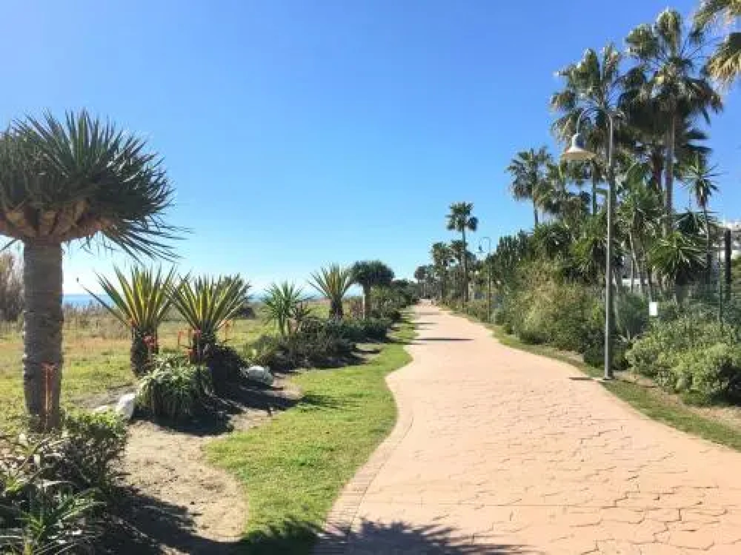 Costalita beach