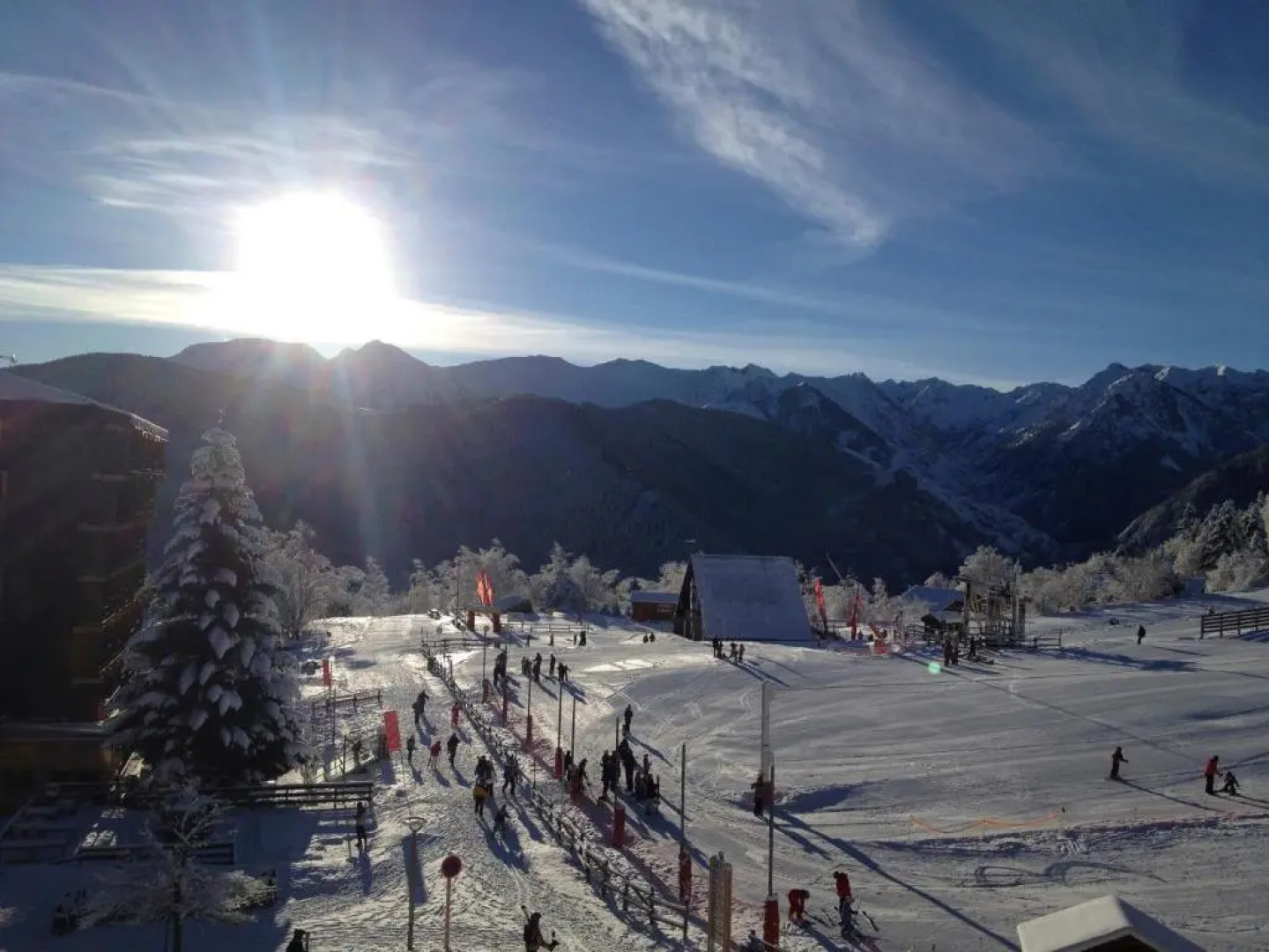 Un Isard au Pied des Pistes