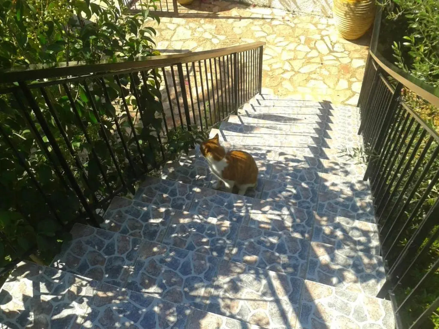 Bousounis Apartments