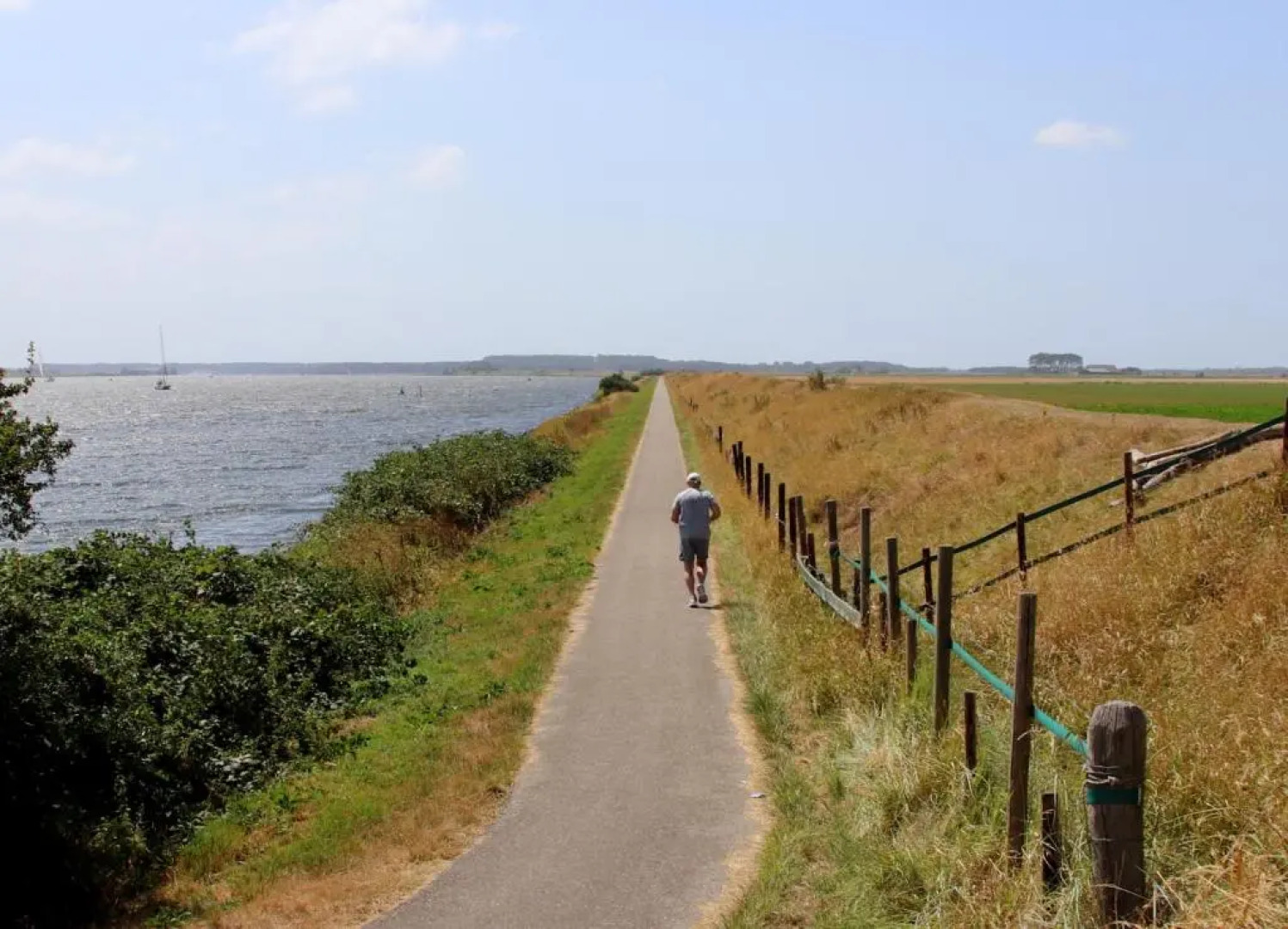 Banjaard Beachhouse Patrijzenlaan 14