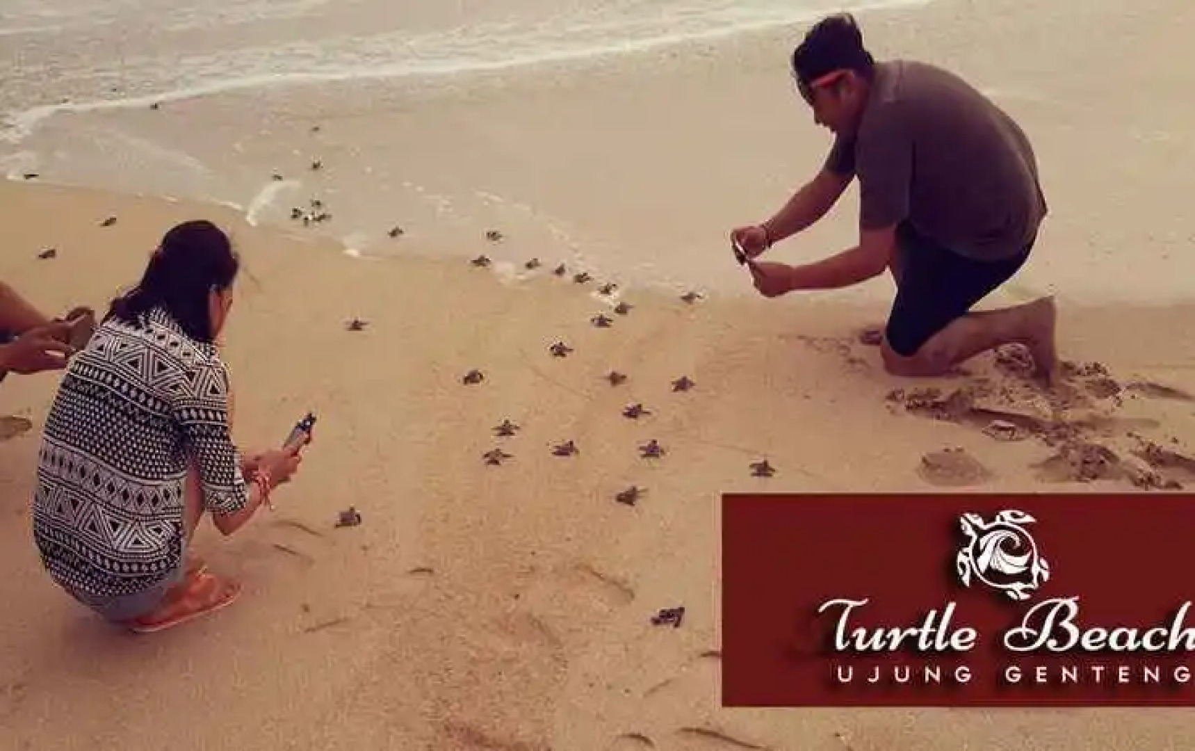 Turtle Beach Ujung Genteng