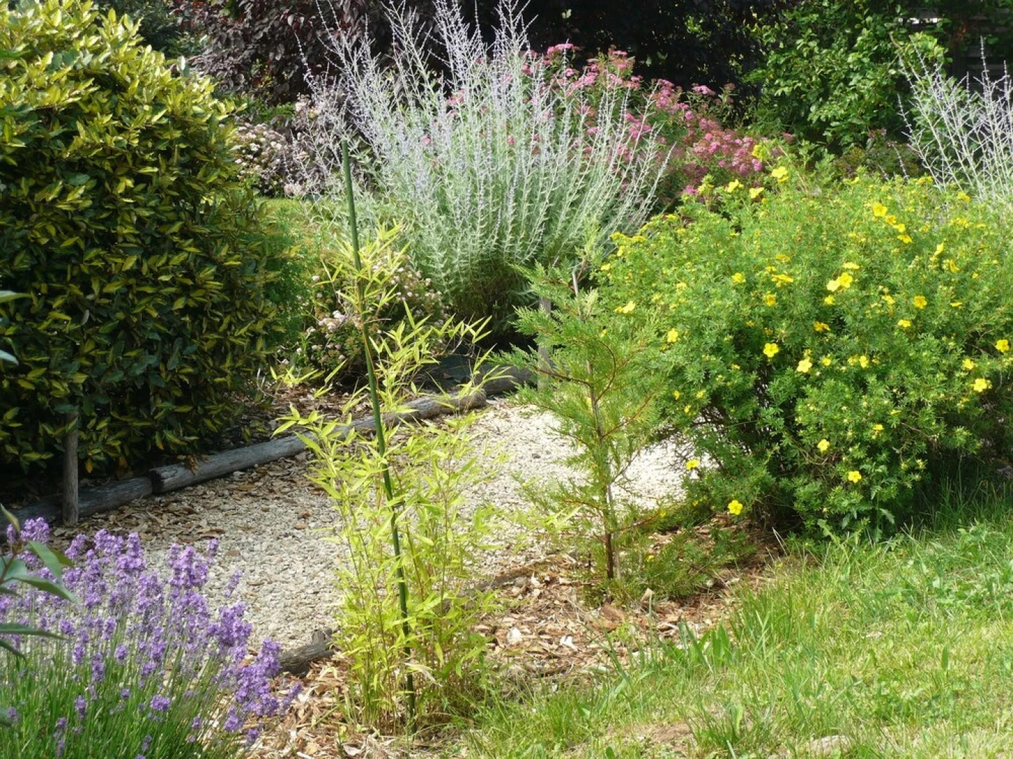 La Tulipe Périgourdine