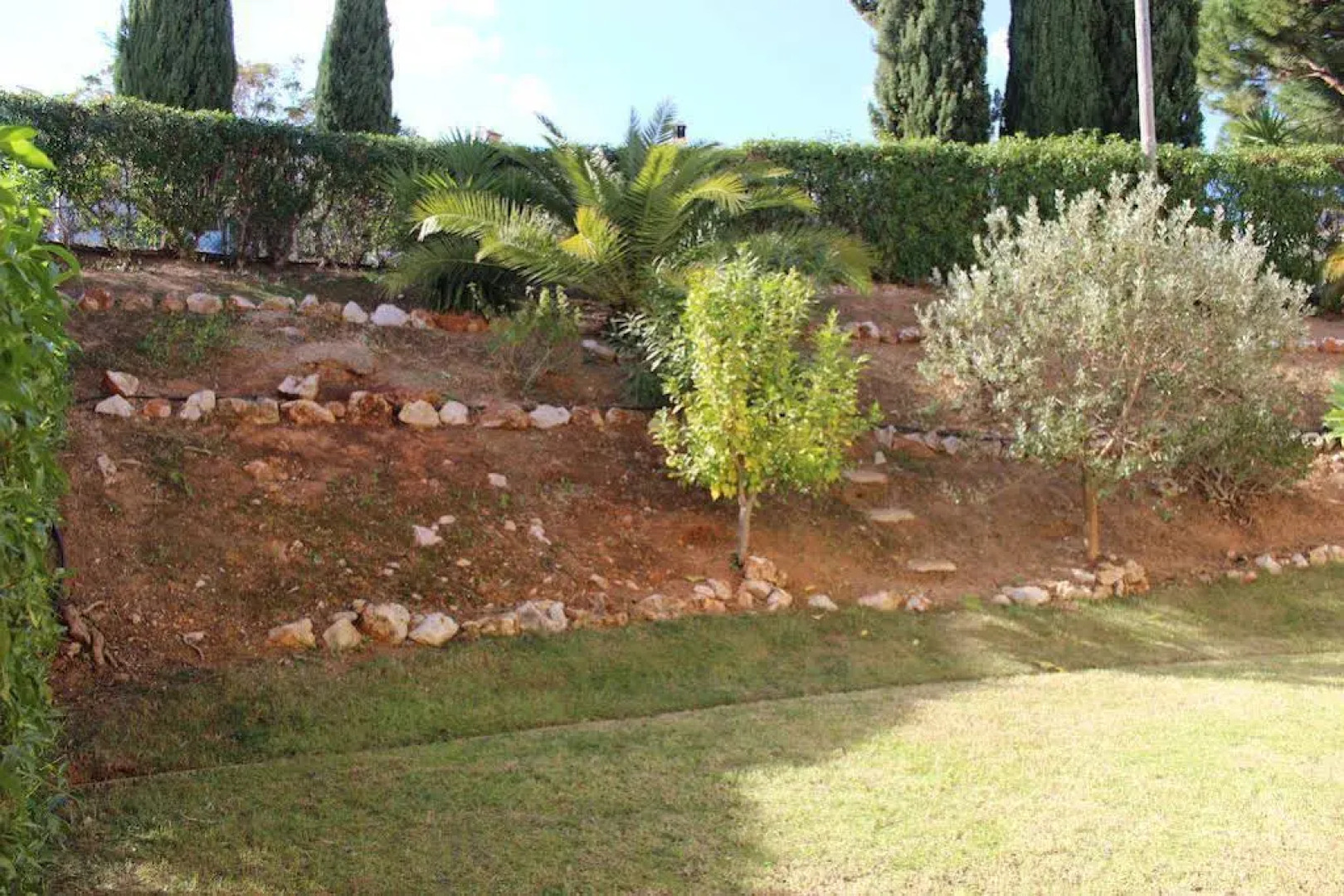 Apartamentos Dom Fernando