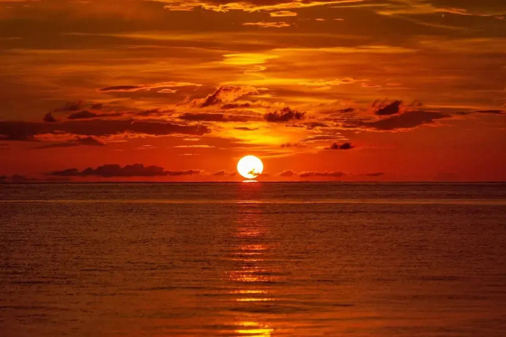 Sardinia Vacation Rental