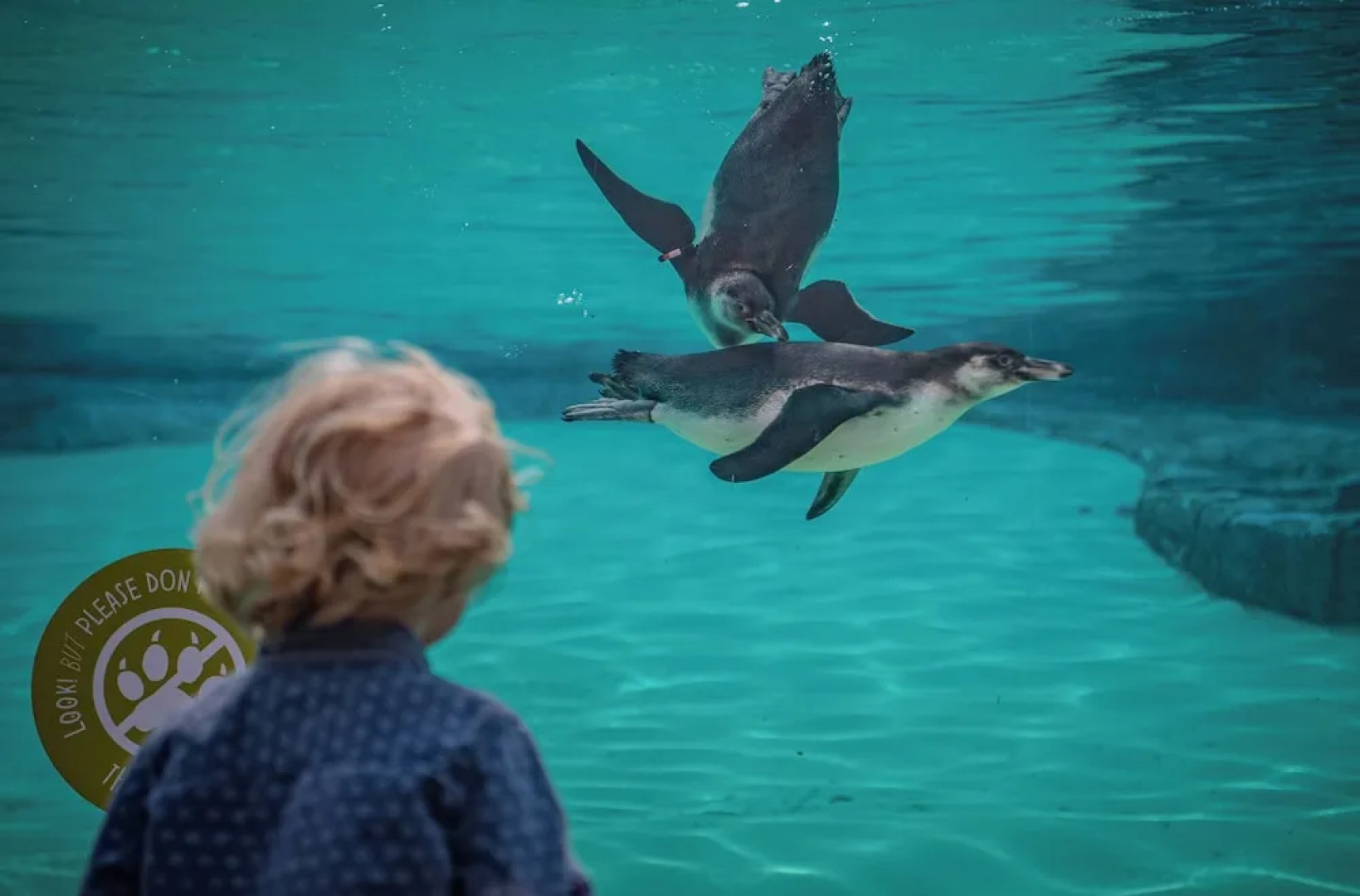 Chester Moat House Hotel