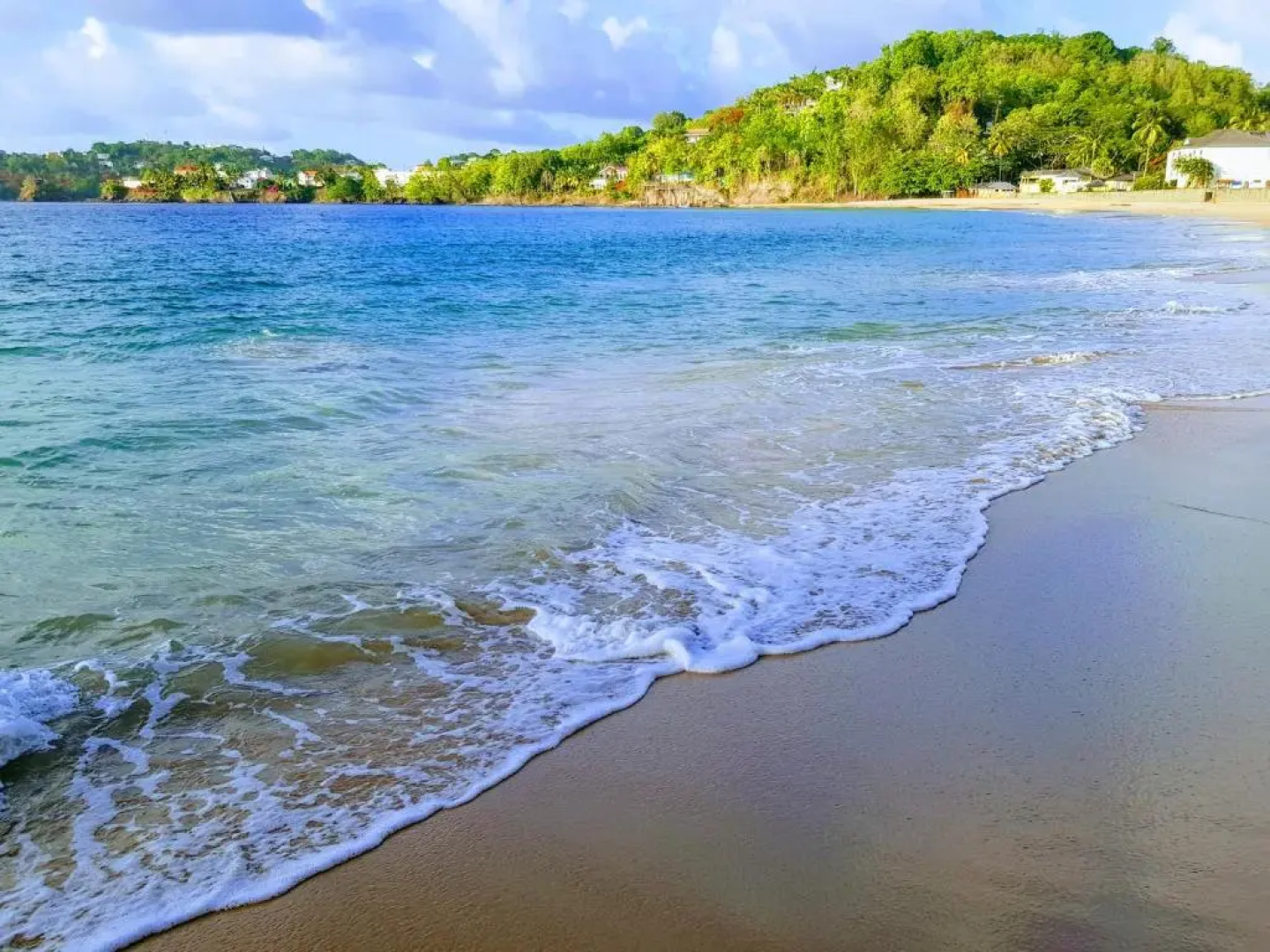 Ocean Crest