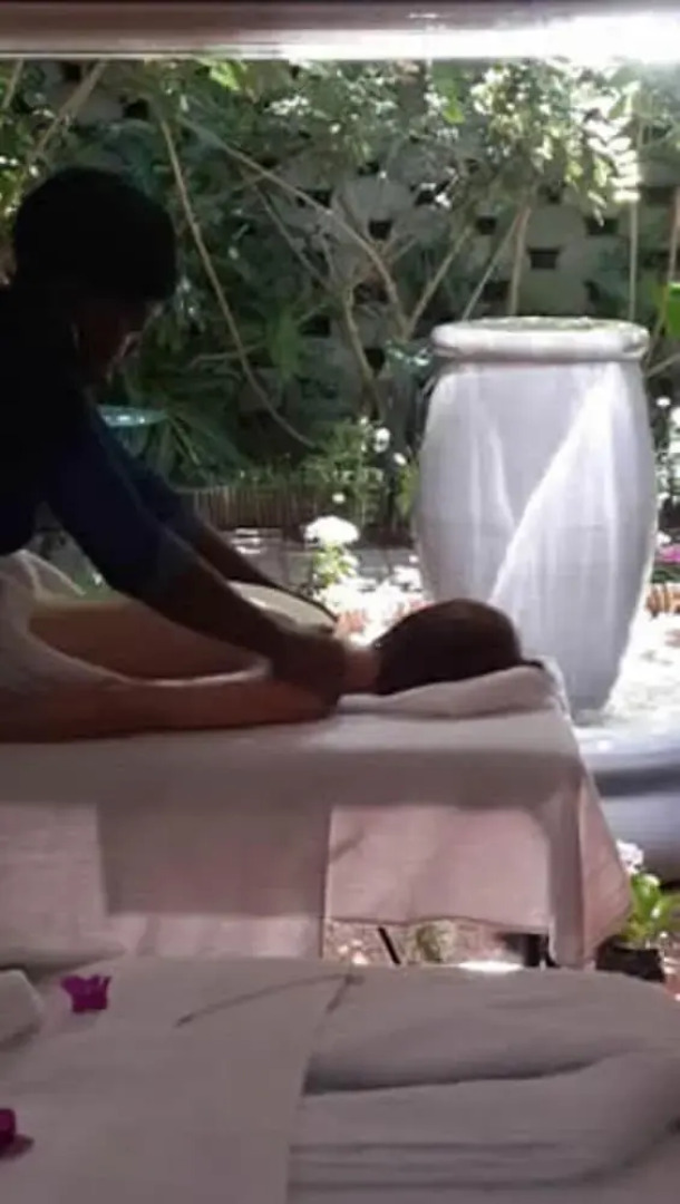 Cranes Nest Guest House @ 313