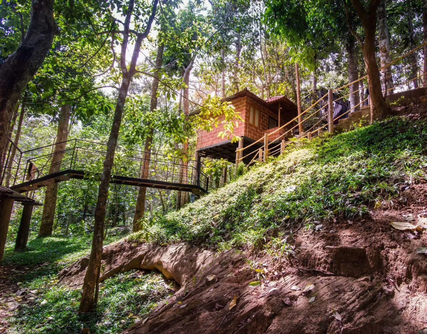 Ranches Jungle Beats