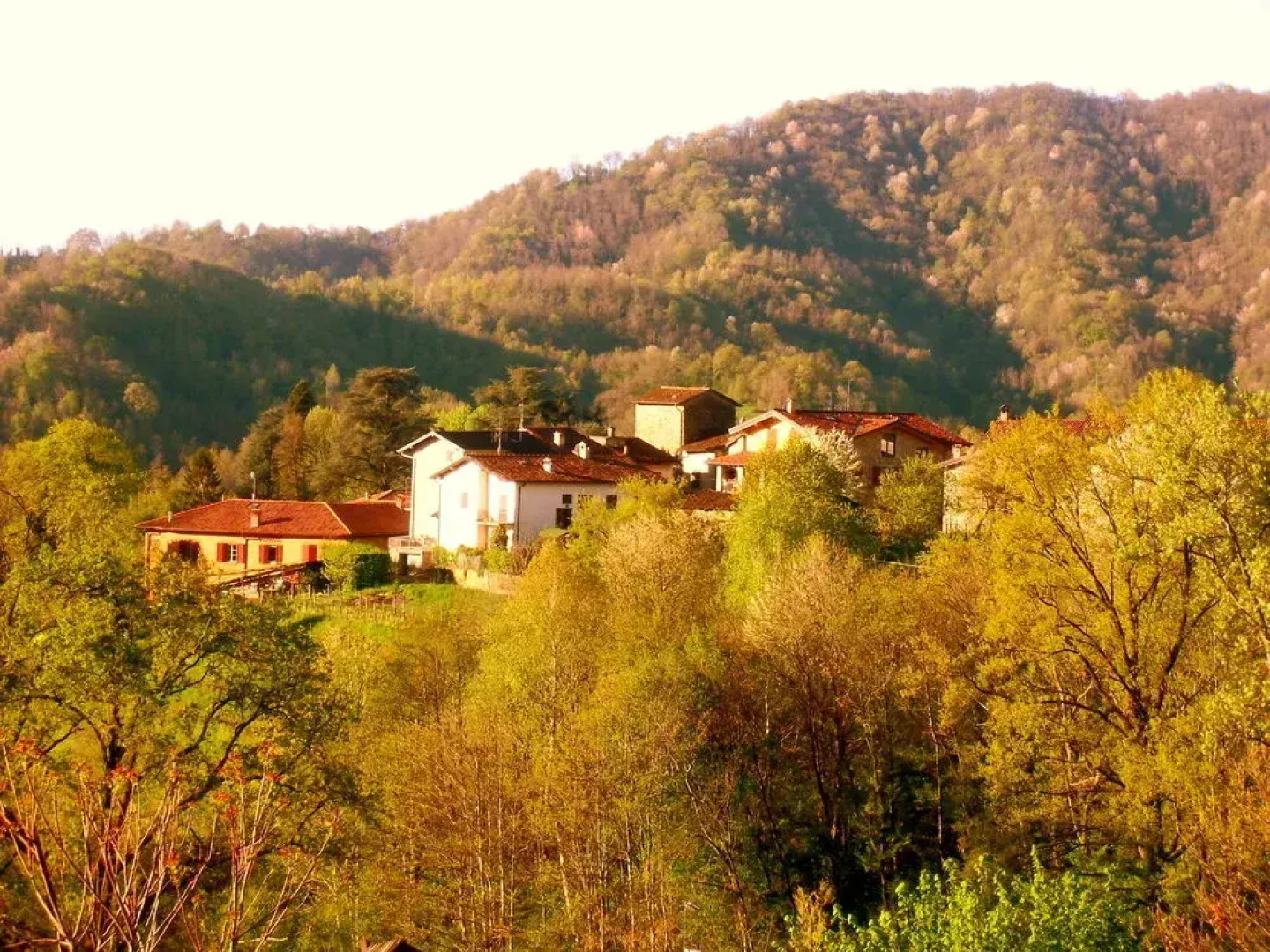 Taiobe - Happy Party House