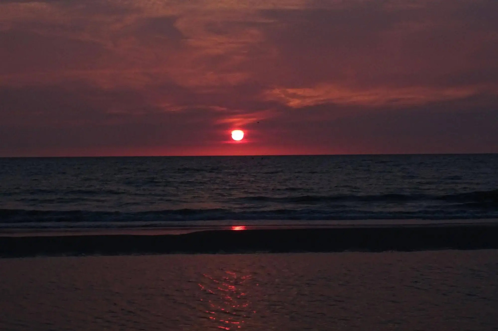 Heeren van Noortwyck