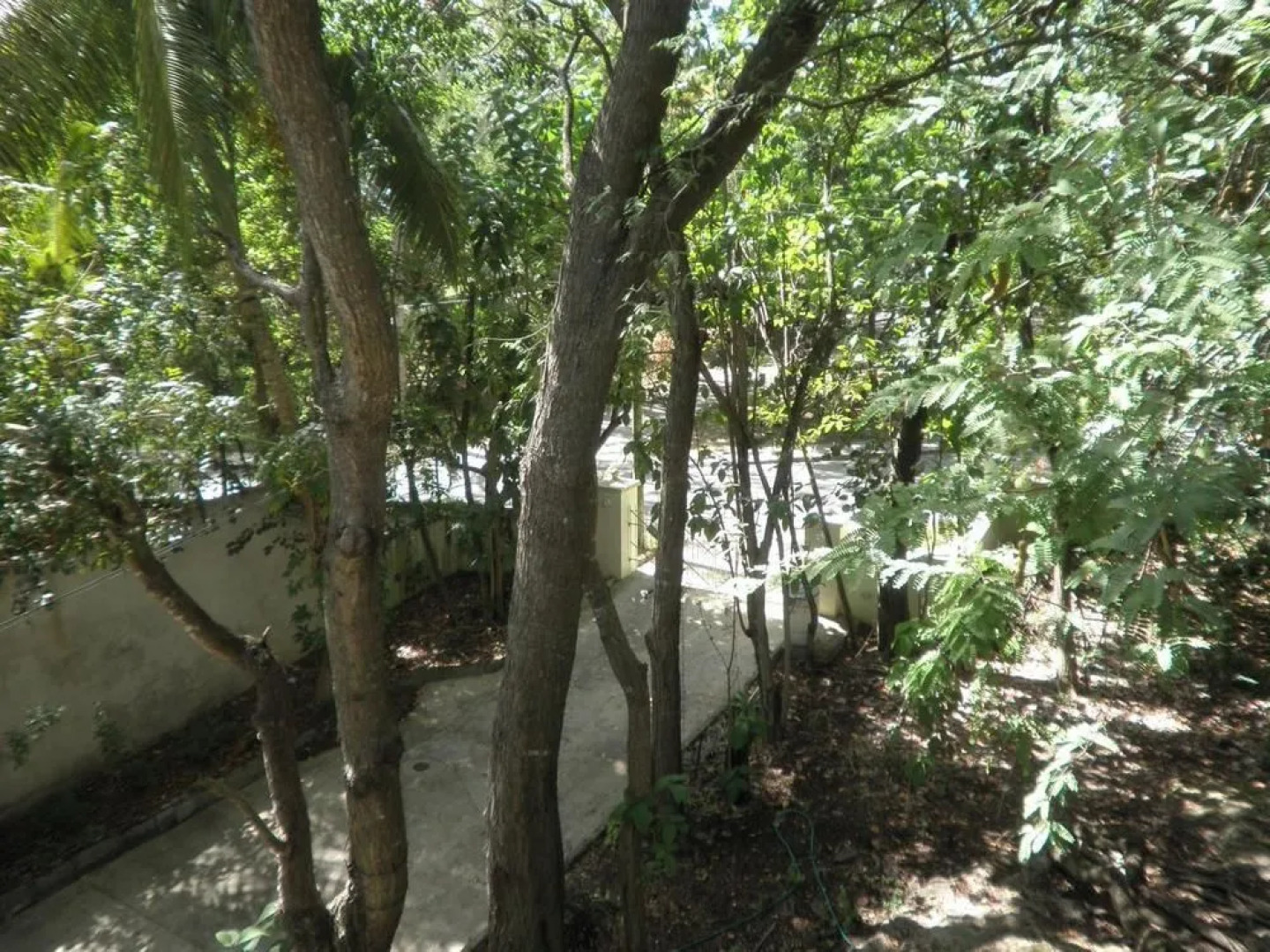 Dover Woods Guest House