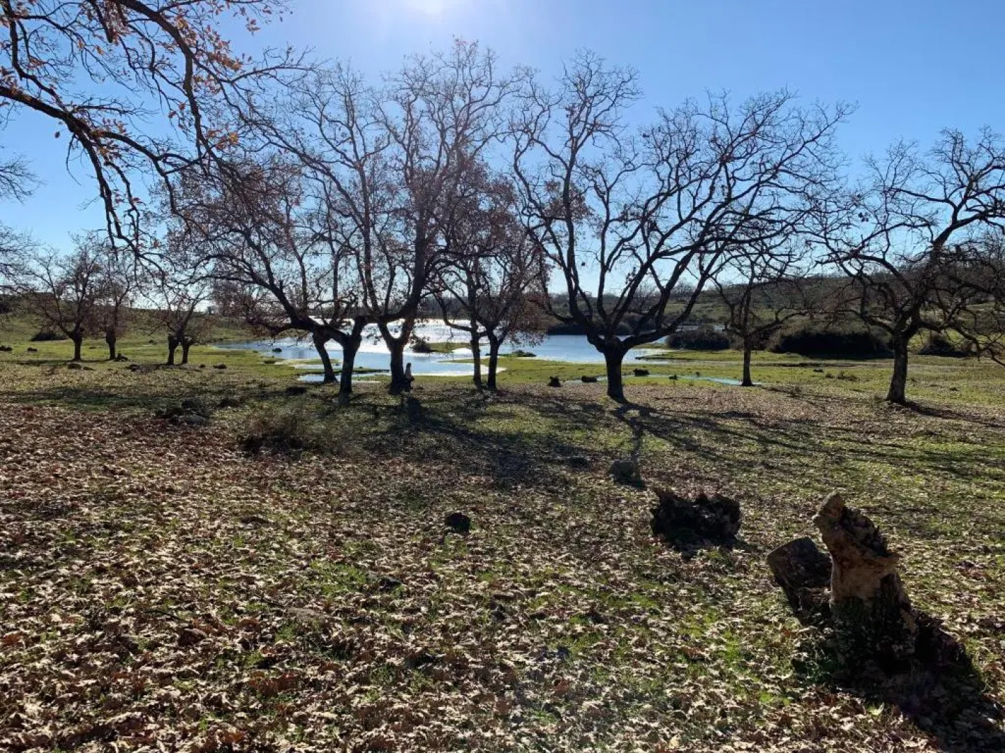 Apartamentos Turísticos Huerto El Horno
