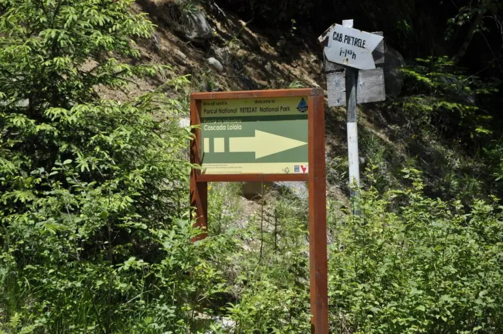 Cabana Cascada Cârnic