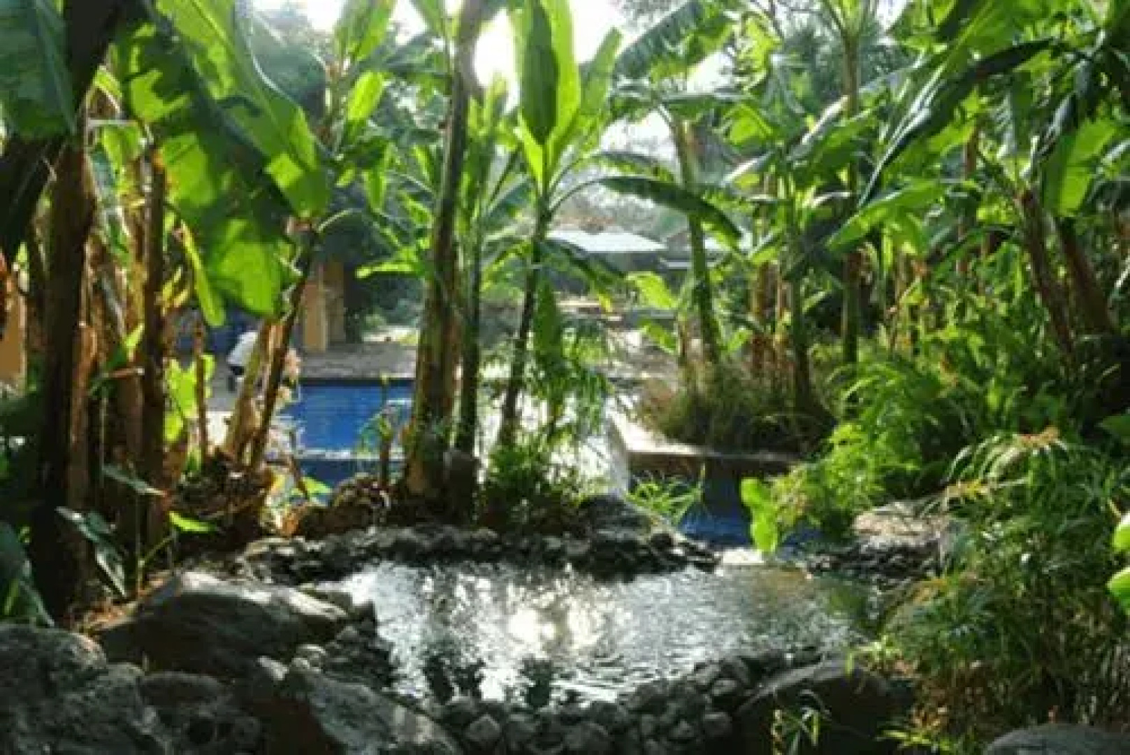 Quinta de las Flores