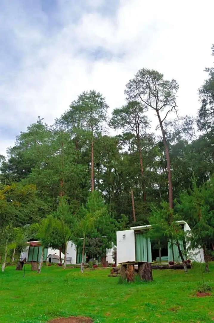 Romanticas Cabañas En Bosque