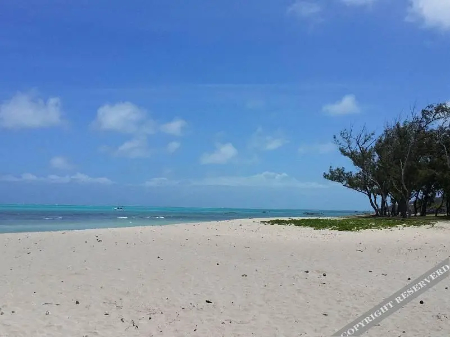 Rodrigues Kite House