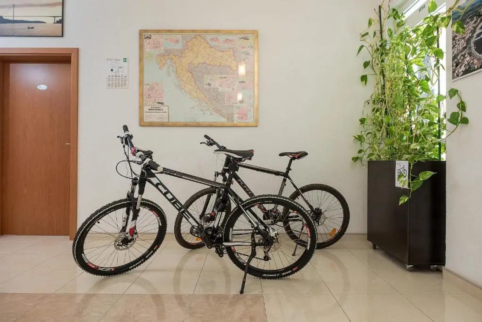 Apartments Vila Adrijana and Fitness Studio Wolf