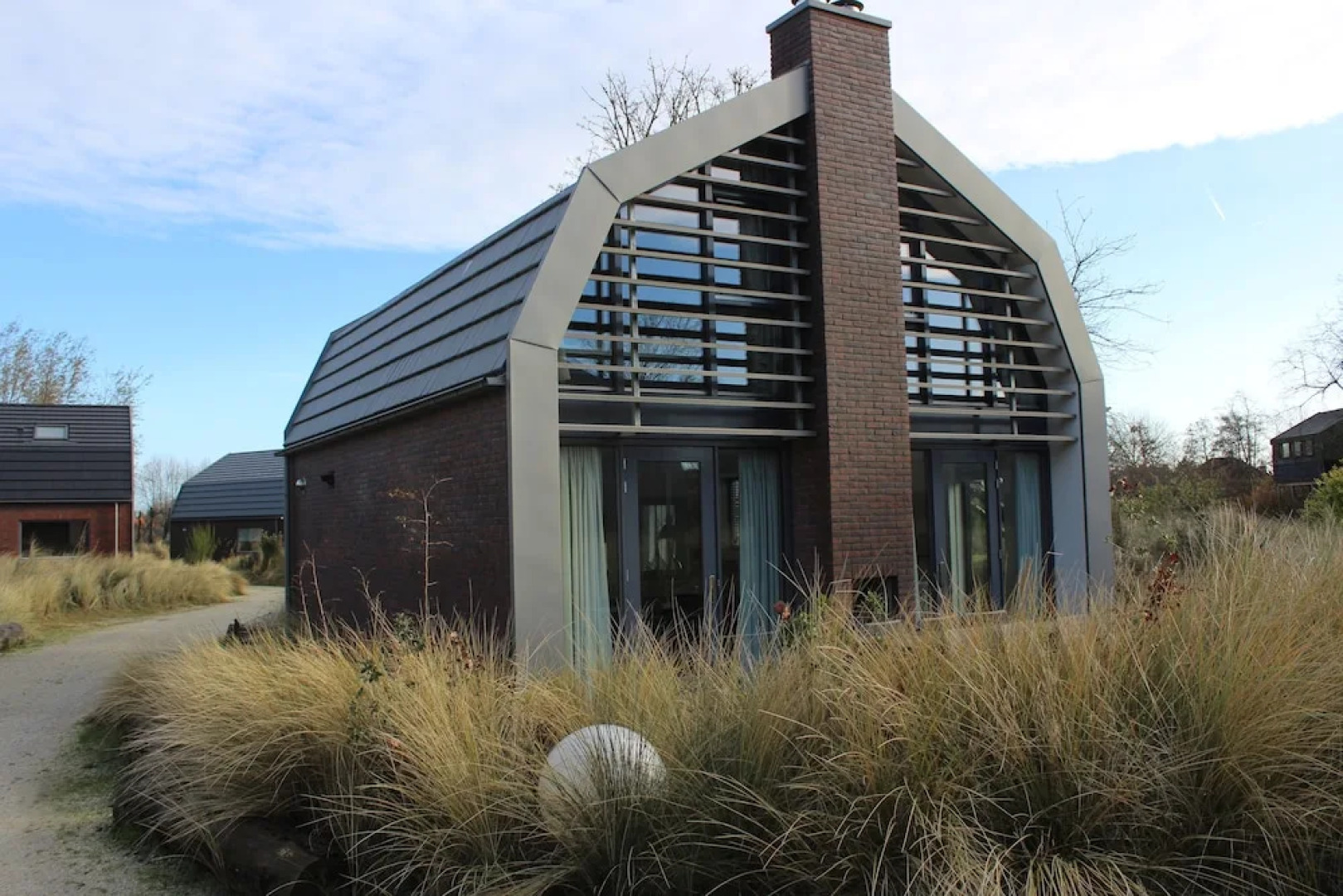 Zeester Egmond nr 15