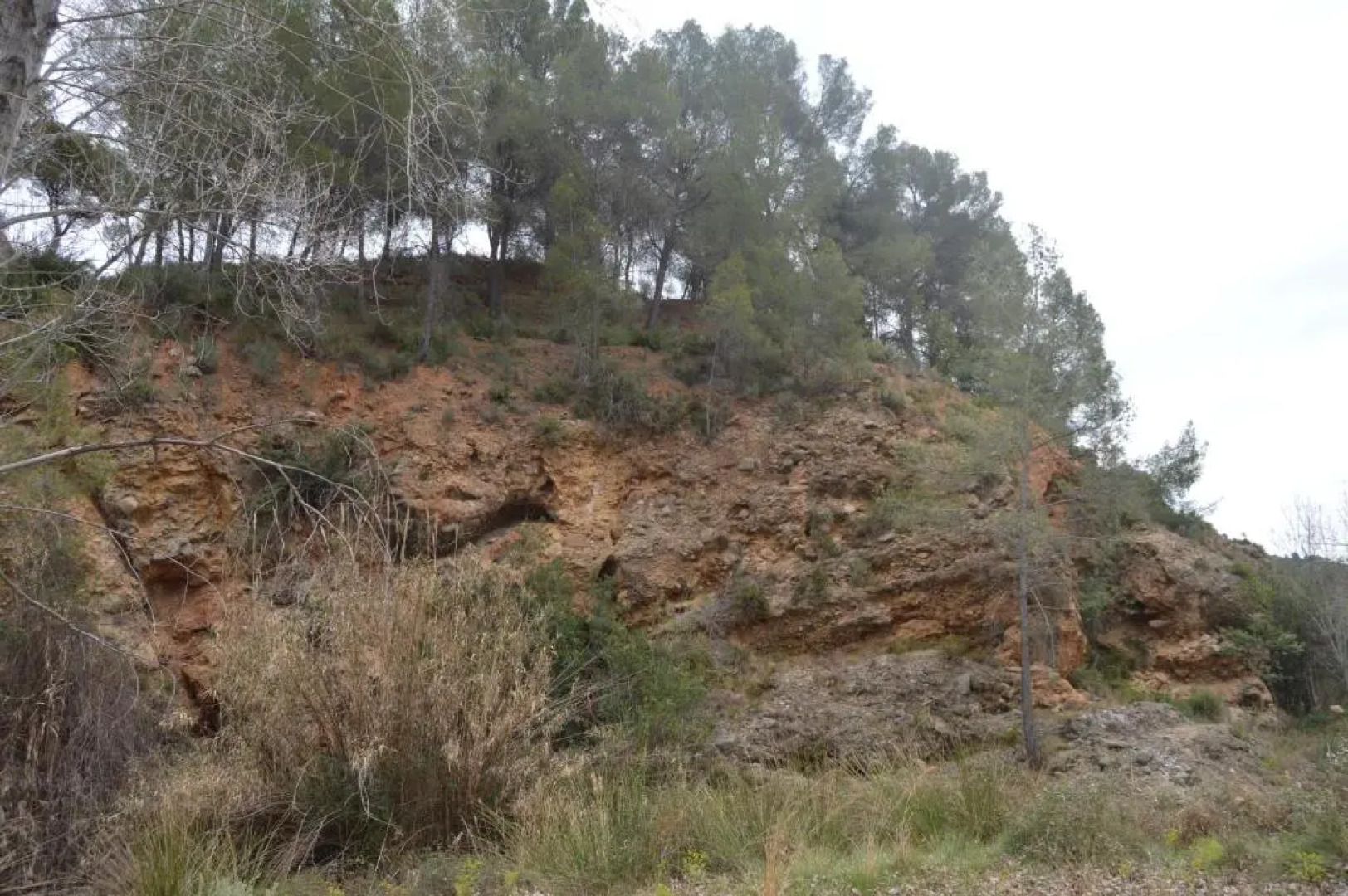 Apartamento Casa Rafa