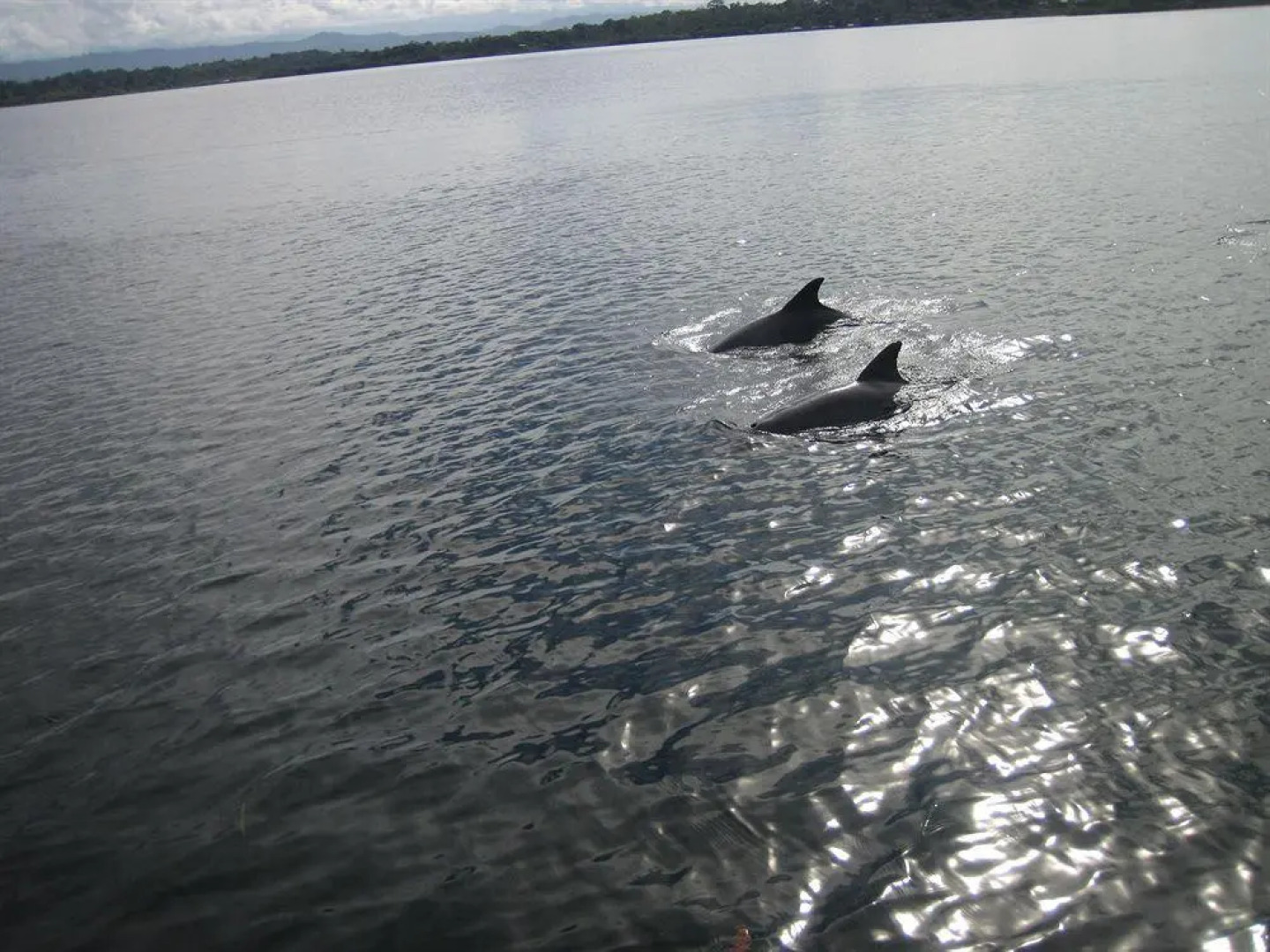 Laguna Azul Eco Boutique Hotel - Full Board