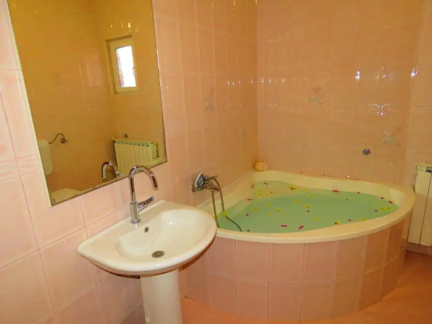 Apartman Smilje with Heating Pool