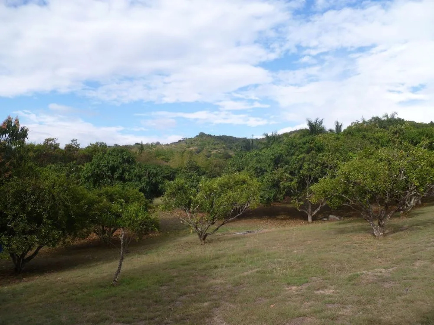 Manati - Finca Hotel