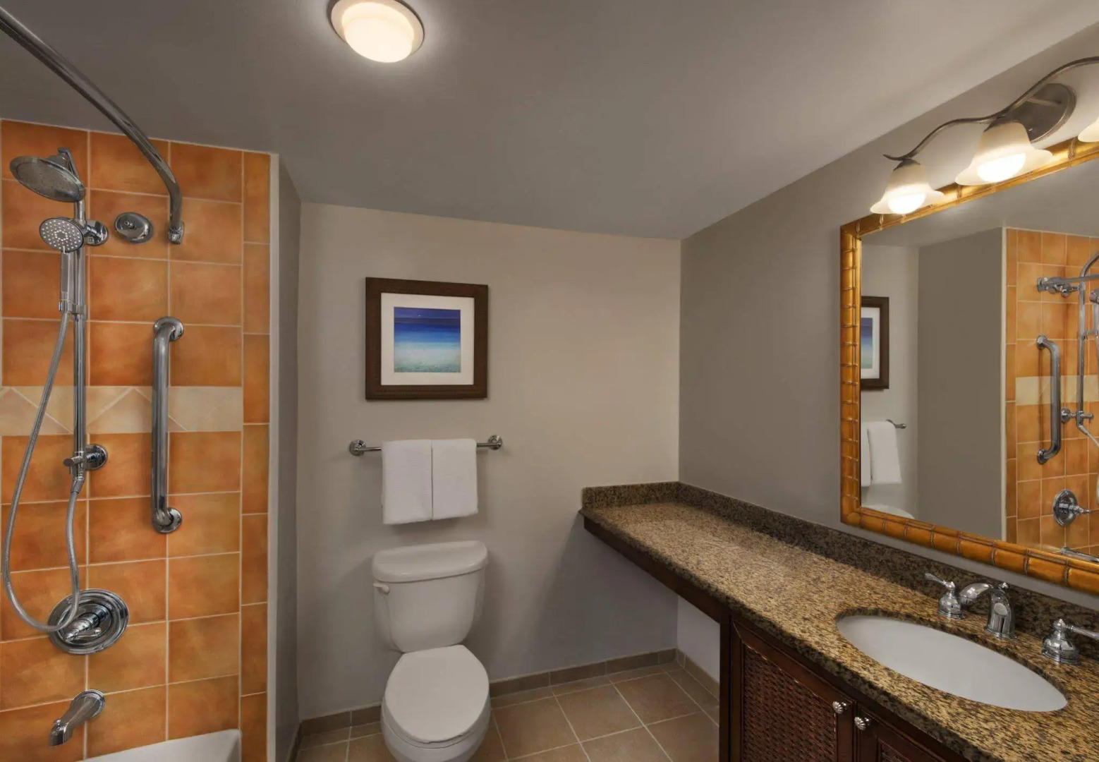 Marriott's SurfWatch