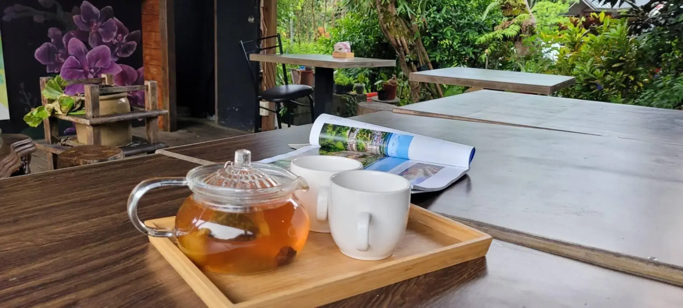Taiwan Reishi Expert Bed and Breakfast