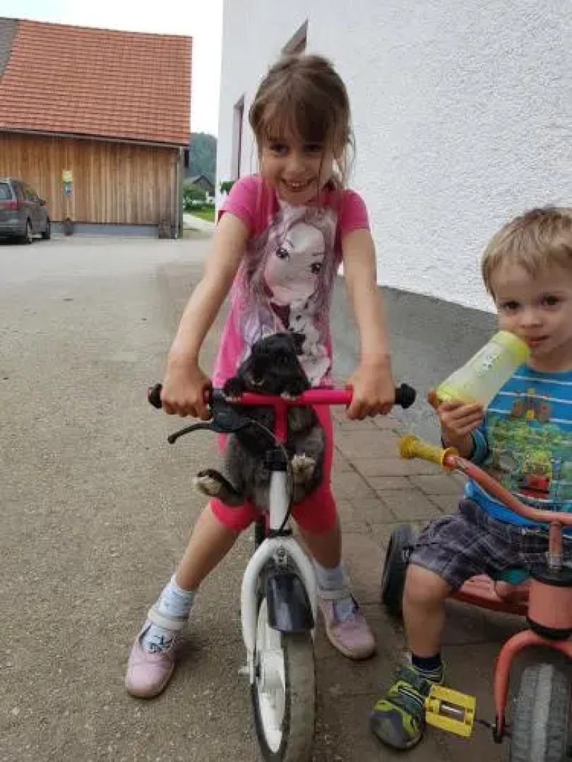 Bauernhof Schoettelbauer